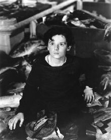 Freddie Bartholomew.jpg