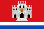 Bandera de Montemayor