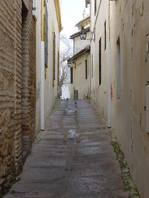 Calle Cardenal Salazar 1.JPG