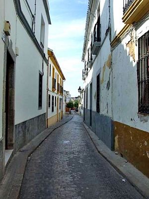 CalleGutierrezdelosRios01.jpg