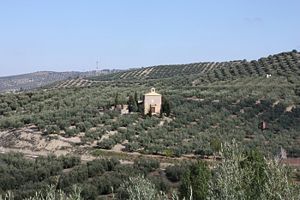 Ermita de San Pedro2.JPG