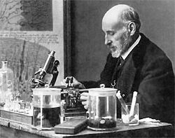 Santiago Ramon y Cajal.jpg